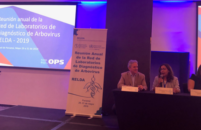 Reunión Arbovirus