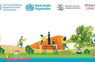 I Conferencia Internacional en Inocuidad Alimentaria organizada por la OMS y FAO con la presencia de PANAFTOSA-OPS/OMS