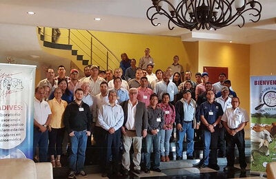 Simulacro de Atención a un Brote de Fiebre Aftosa en Panamá