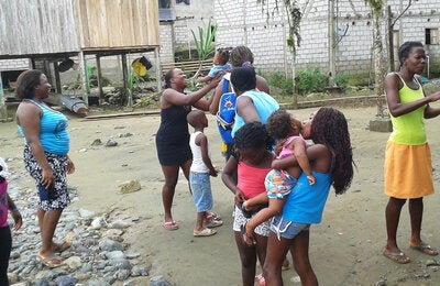 Historia de éxito: América Central vence al vector exótico de la enfermedad de Chagas 