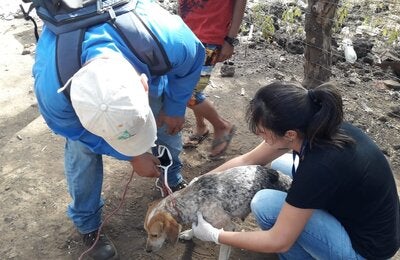 personal de salud en acción