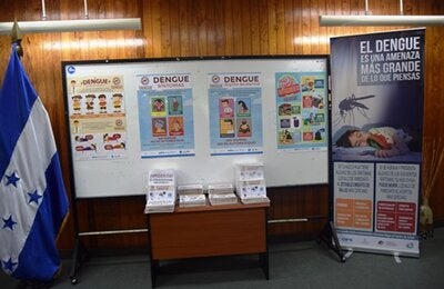 display