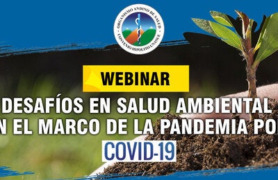 Webinar: Desafíos en Salud Ambiental en el Marco por la Pandemia por COVID-19