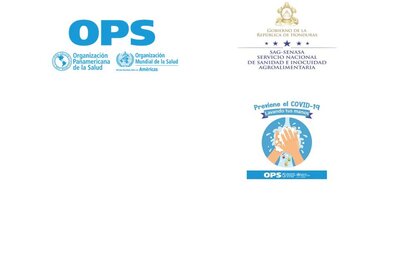 bioseguridadeneltrabajohnd