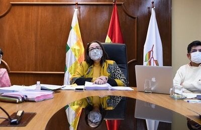 consejo directivo