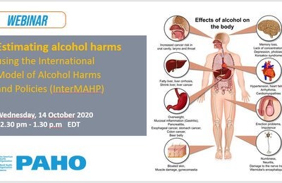 Estimating alcohol harms using the International Model of Alcohol Harms and Policies (InterMAHP)