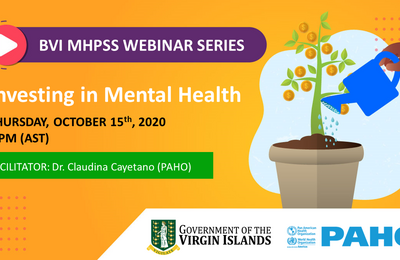 Investing in Mental Health