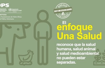 antimicrobianos