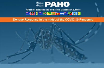 Flyer for Dengue  Webinar