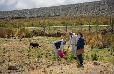 Anzaro_PotosiBolivia