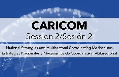 CARICOM session on national strategies and multisectoral coordinating mechanisms