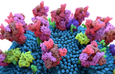 Variants of concern” of the virus that causes COVID-19, SARS-CoV-2