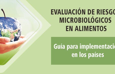 Manual evaluacion riesgo