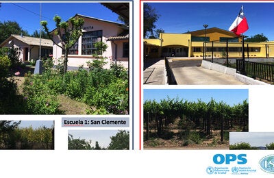 Exposición ambiental a plaguicidas y sus efectos en la salud: estudios epidemiológicos en Chile y Costa Rica