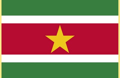 Suriname flag