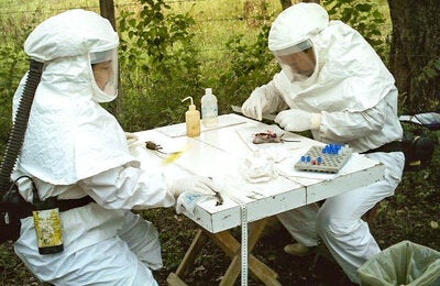 dengue_worker_ve