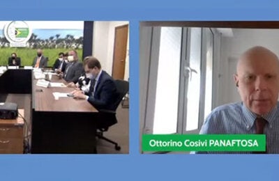 Seis estados brasileños recibieron el reconocimiento como zonas libres de fiebre aftosa sin vacunación