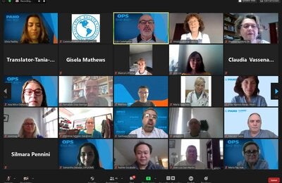 screenshot of meeting