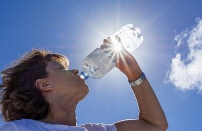 Webinar: Measures to take to prevent the effects of the heatwaves for countries of South America, Central America and Mexico