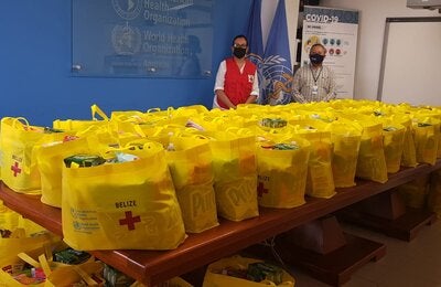 PAHO/WHO handover of family kits