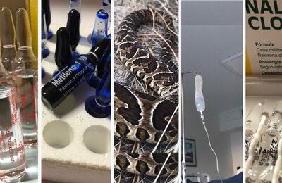 Webinario: Antídotos y Antivenenos. Perspectivas para la colaboración regional