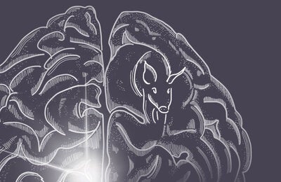 cover-taenia-solium-pub