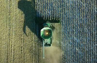 sistemas alimentarios