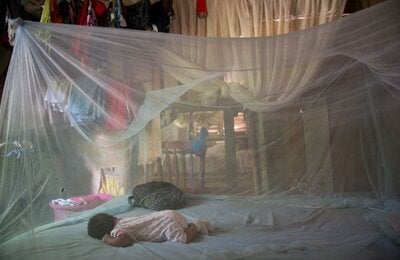Barrier against mosquitoes: A baby sleeps under a mosquito net, protected against mosquitoes that can transmit the chikungunya virus. People infected with chikungunya should also sleep under mosquito nets to prevent transmission of the virus to mosquitoes.