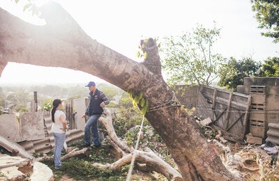 Review in the backyards: People are responsible for protecting, cleaning and freeing from mosquitoes breeding sites. Removing unused objects is important for combating the mosquitoes that transmit zika, dengue and chikungunya.