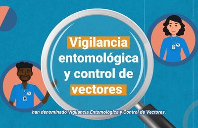 Vigilancia entomológica y control vectorial