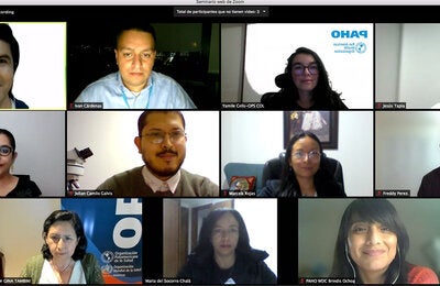 PANEL DE ZOOM DE REUNION