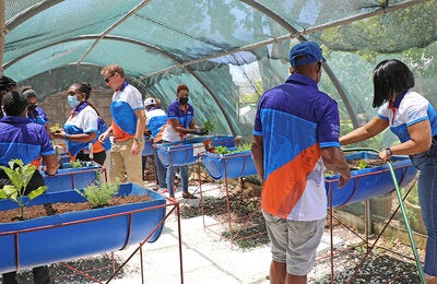 Staff planting vegetables