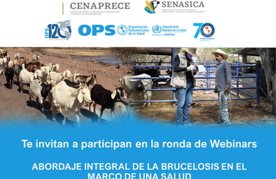 Ronda de webinars sobre brucelosis