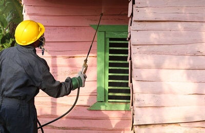 fumigacion para evitar Chagas