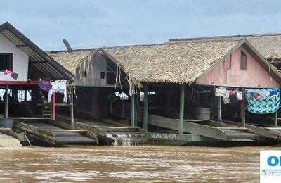 Webinario: Exposición ambiental al mercurio y efectos sobre la salud en Latinoamérica y Caribe