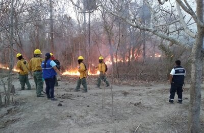 Simulacro incendio