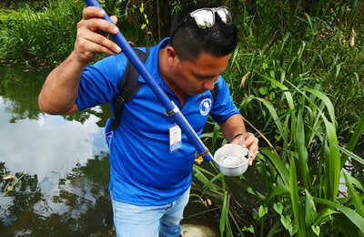 © OPS/OMS Costa Rica | 2016. Campeones de las Américas contra la malaria. FOTO: David Spitz.