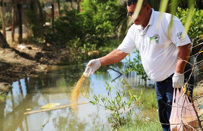 © PAHO/WHO Honduras, Jose Santos Guardiola, Roatán | 2014. Volunteers (COLVOL) of the Integrated Malaria Control Program.