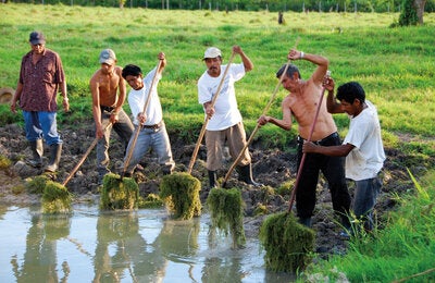 @ PAHO/WHO Guatemala, Petén, Sayaxché | 2008. PHOTO: David Spitz.