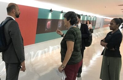 Exposición Nanoarte en el MinSal de Brasil