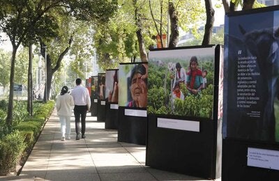 Galería Abierta: Celebrando 120 Años de Solidaridad por la Salud y el Bienestar de Todos