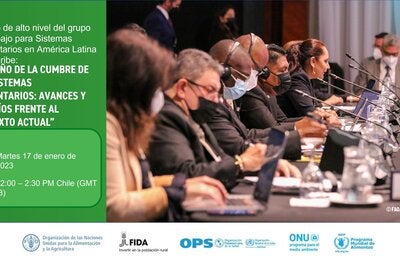 Webinar: A un año de la Cumbre de los Sistemas Alimentarios: Avances y desafíos frente al contexto actual