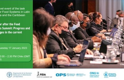 Webinar: One year after the Food Systems Summit: Progress and challenges in the current context
