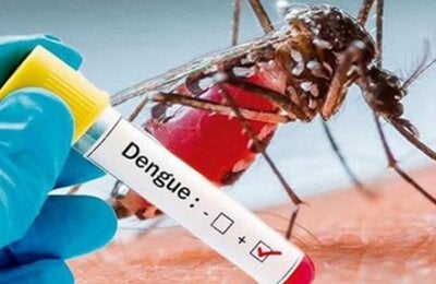 18 curso dengue