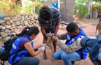 Campaña Leishmaniasis