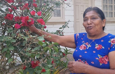 Historia de Clementina