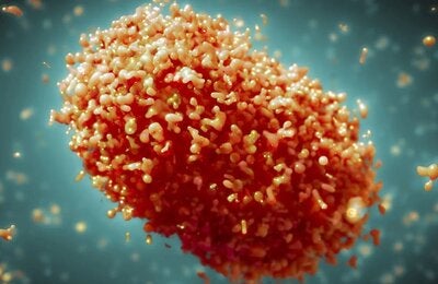 MPOX Virus