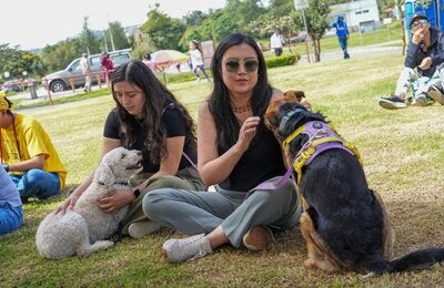 Festival de Salud Mental Comunitaria