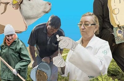 Imagen de varios componentes del tema UNa Salud