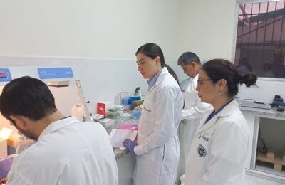Dengue Bolivia
